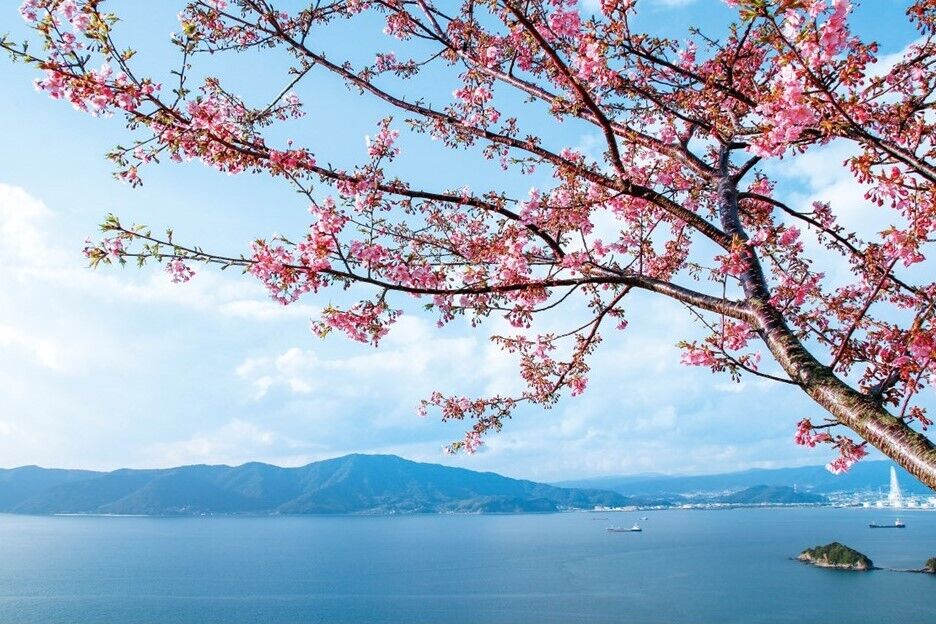 まち・ひと・しごと創生推進計画