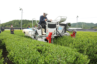 農林水産業人材育成プロジェクト