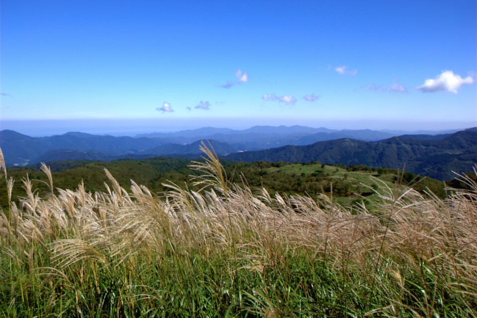 安全で住みやすい環境の整ったまち