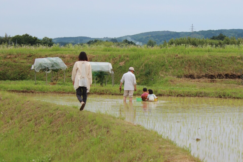 美咲町 空家活用定住促進事業