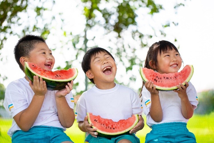 夏すいか日本一の産地で日本一のすいか職人を育てるプロジェクト
