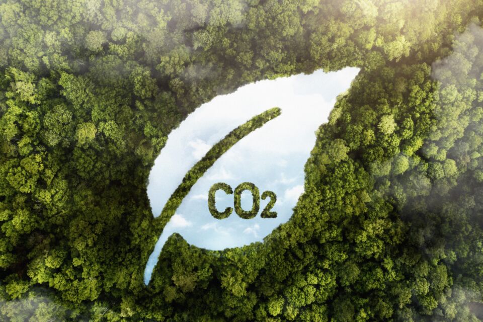 ゼロカーボンプロジエクト