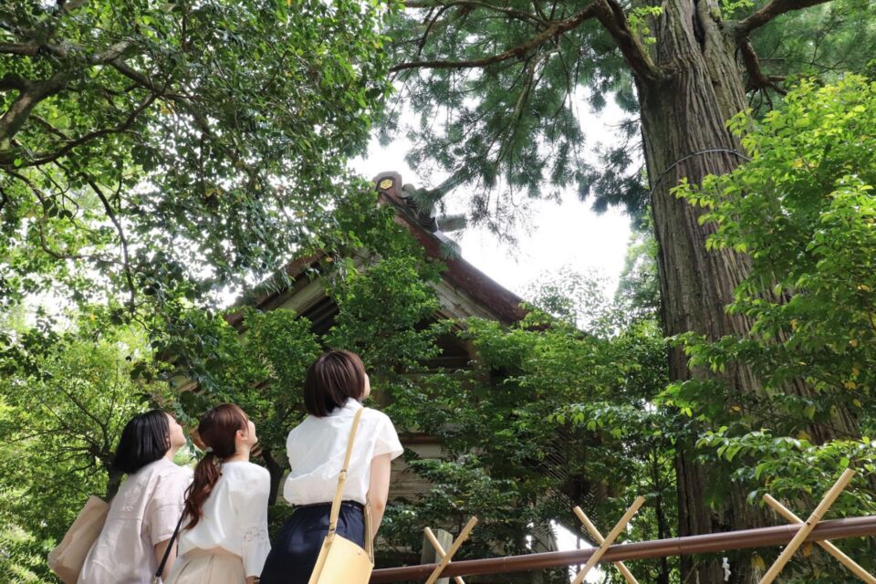 出雲との縁をつなぎ、ひとの流れをつくる事業