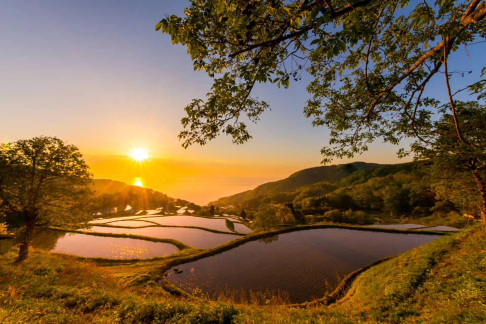 【生物多様性・SDGs】生物多様性が育む環境と経済の両立～自然との共生～