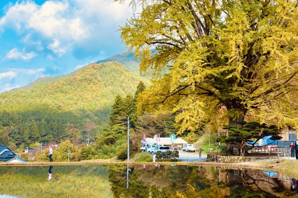 稼ぐ地域つくり、安心して働けるようにする事業