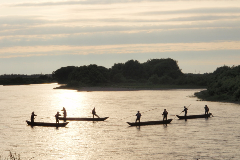 サケの伝統文化が息づくまちの賑わい創出プロジェクト