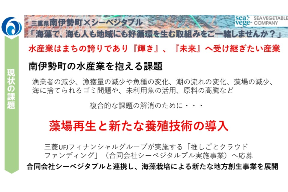 （南伊勢町×合同会社シーベジタブル連携） 養殖藻場・海藻生産実証事業