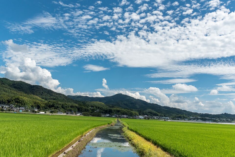 しごと・経済推進事業