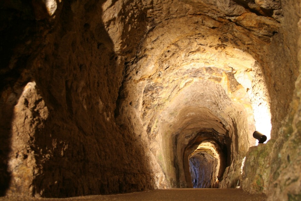 世界遺産「石見銀山遺跡とその文化的景観」を核とした文化観光推進事業