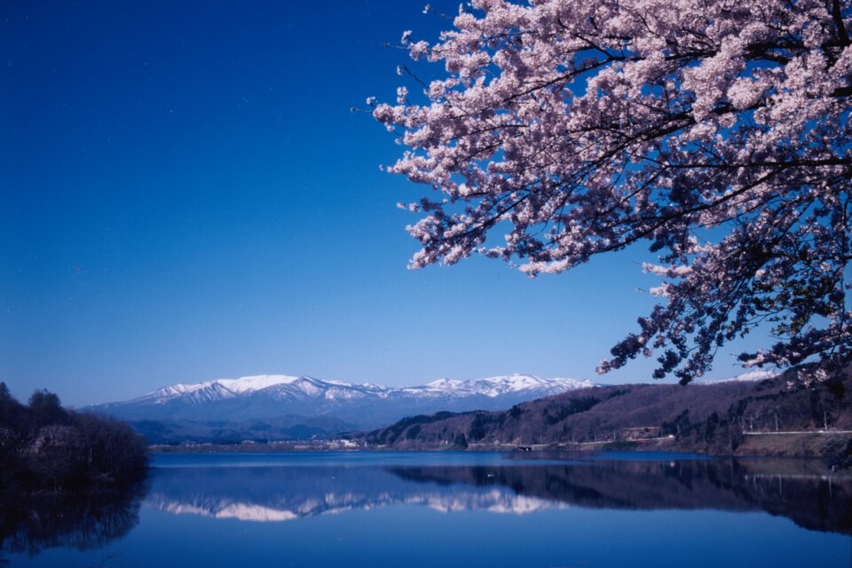 農業振興は野生動物による農作物被害防止の徹底、農業経営の強化。林業は森林の保育事業や間伐材の有効利用の推進。移住定住サポートセンターの運営による移住定住の推進。