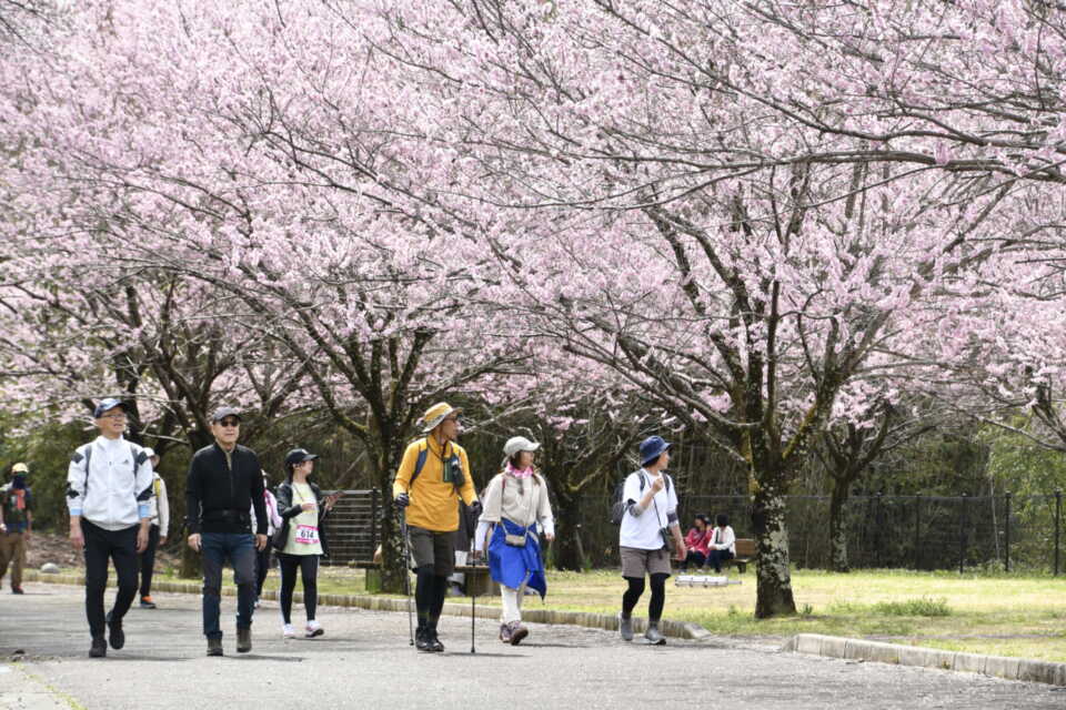 誰もが活躍できるまちづくりを実現する事業