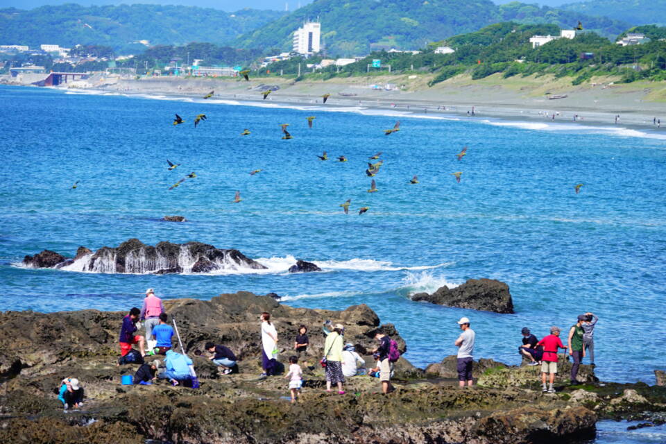 大磯町まち・ひと・しごと総合戦略推進計画