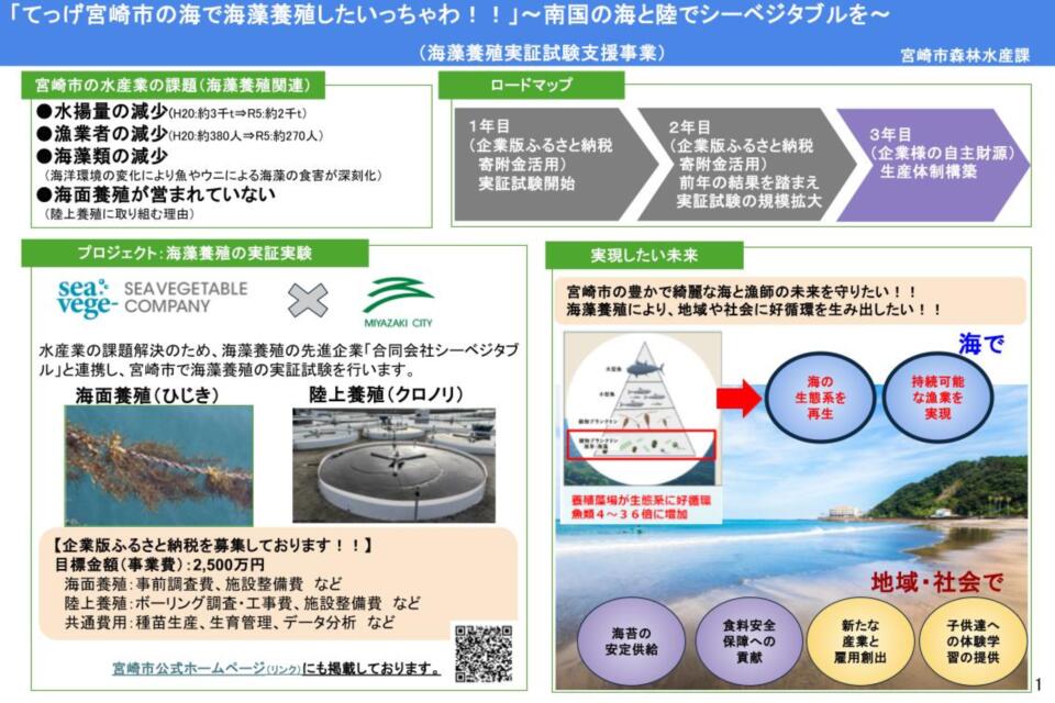 「てっげ、宮崎市で海藻を養殖したいっちゃわ！！」〜南国の海と陸でシーベジタブルを〜(海藻養殖実証試験支援事業)