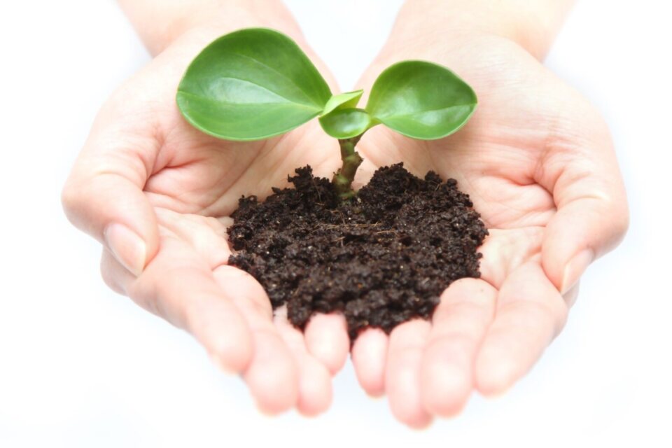 赤穂市ゼロカーボンシティ実現プロジェクト〜環境と成長の好循環を目指して〜