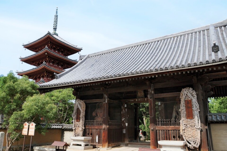 志度寺改修プロジェクト