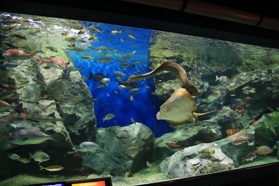 人と自然をつなぐ学びの拠点事業