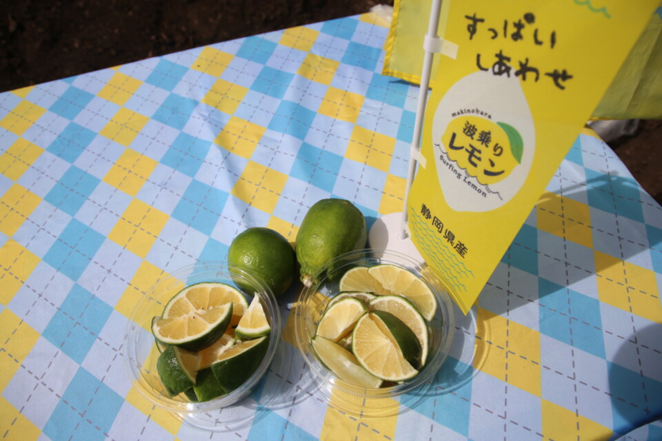 耕作放棄農地有効活用事業