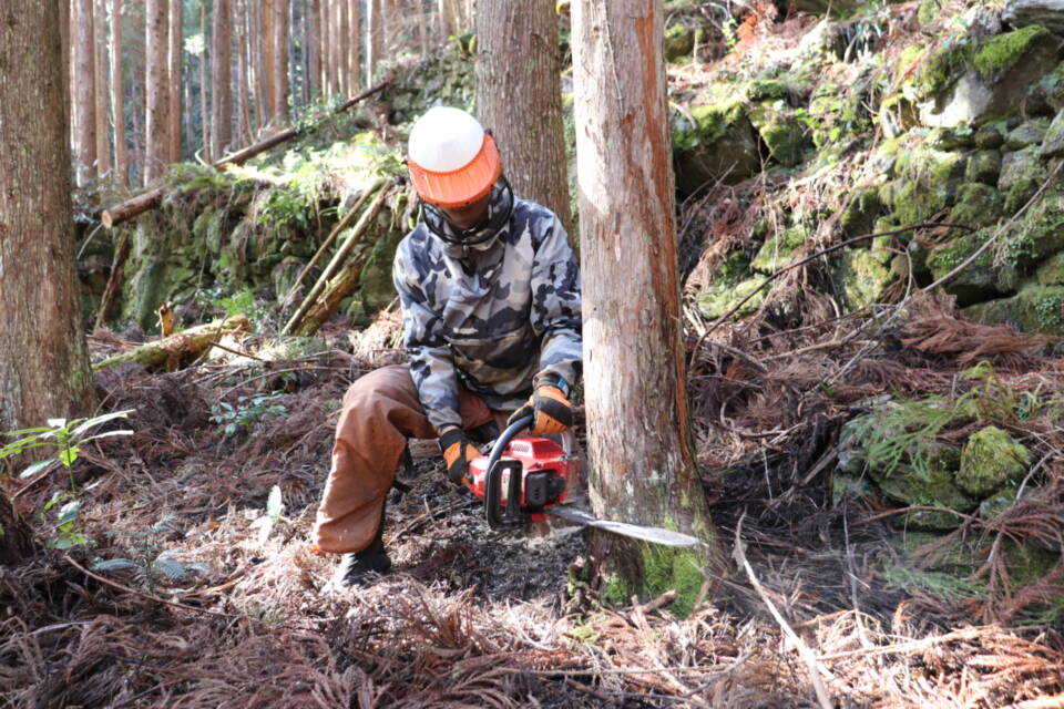 「仁淀川」山の手入れで元気モリモリ事業、「吉野川」水源の森整備事業、など林業振興