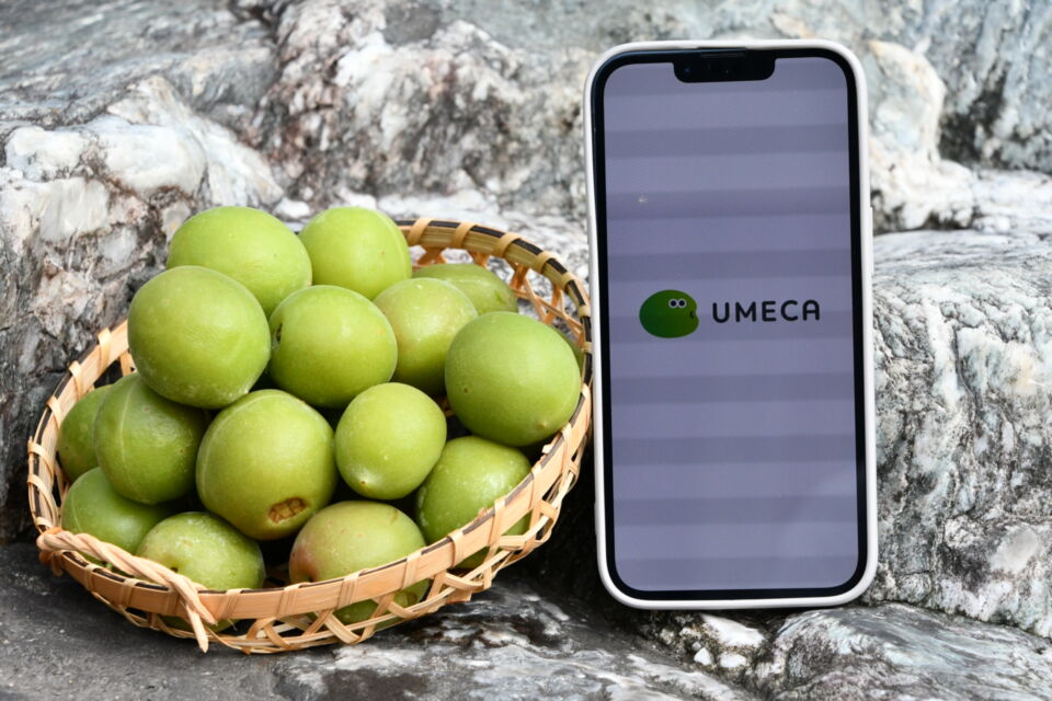 UMECAで地域経済を活性化しよウ！ プロジェクト