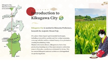 海外輸出専用Webサイト構築事業