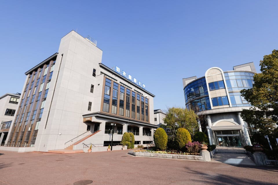 大学生を応援！羽衣国際大学元気なまちづくり応援事業