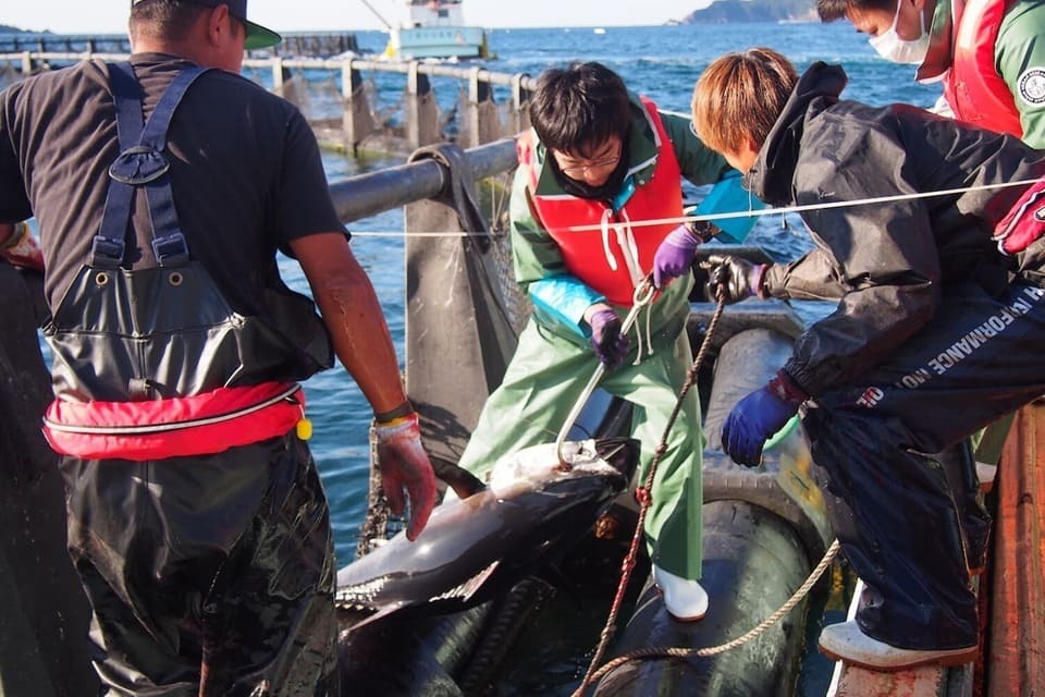 活力ある産業・経済プロジェクト