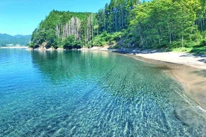 『スポーツ・アクティビティ体験型交流創出・展開事業』