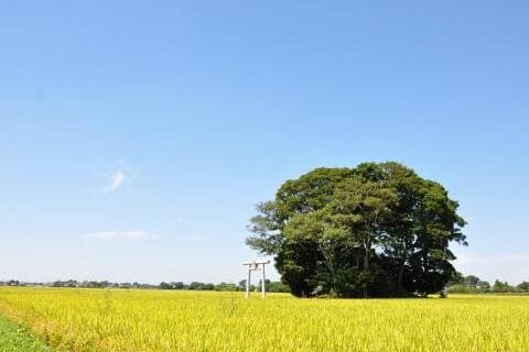 農村環境保全プロジェクト