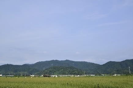 八代畳でごろーんプロジェクト