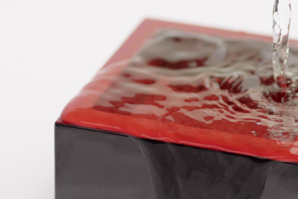 自然と人にやさしい循環型農業プロジェクト