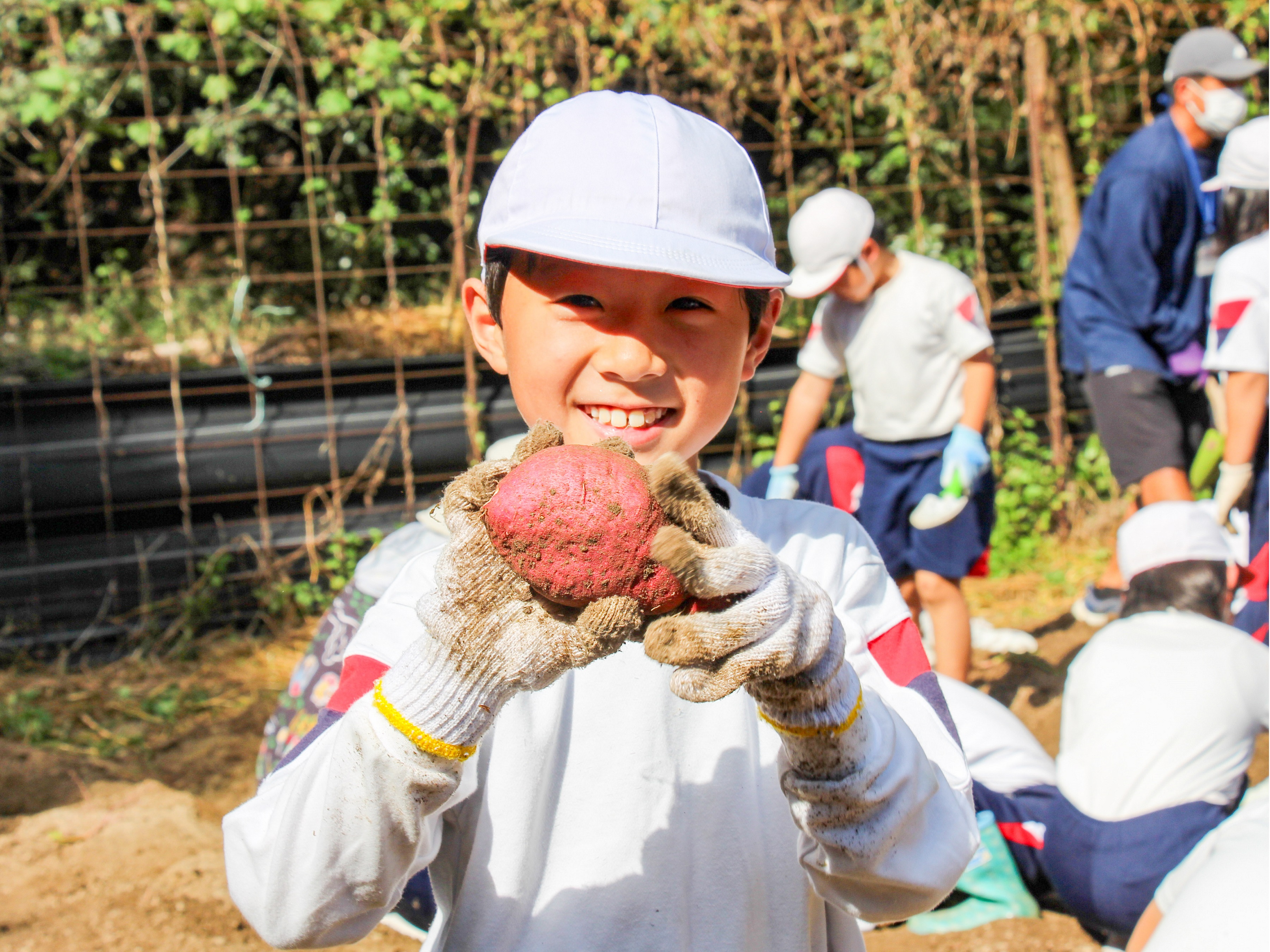 食のしあわせプロジェクト