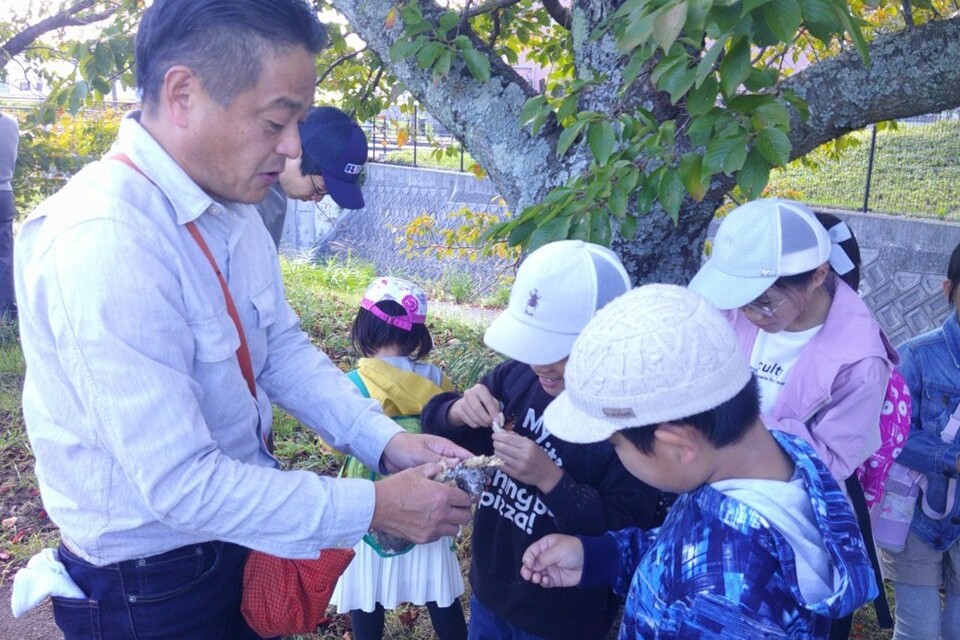 三田さくら物語