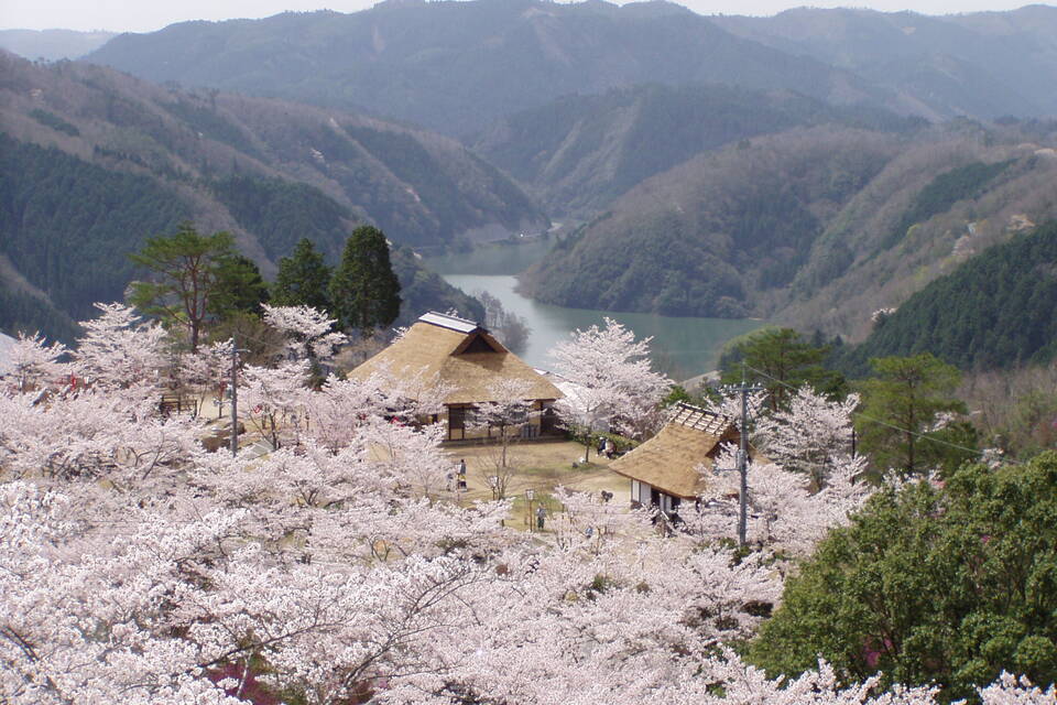 美咲町 空家活用定住促進事業