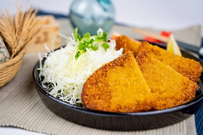 藻場をおこす、未来をつくる