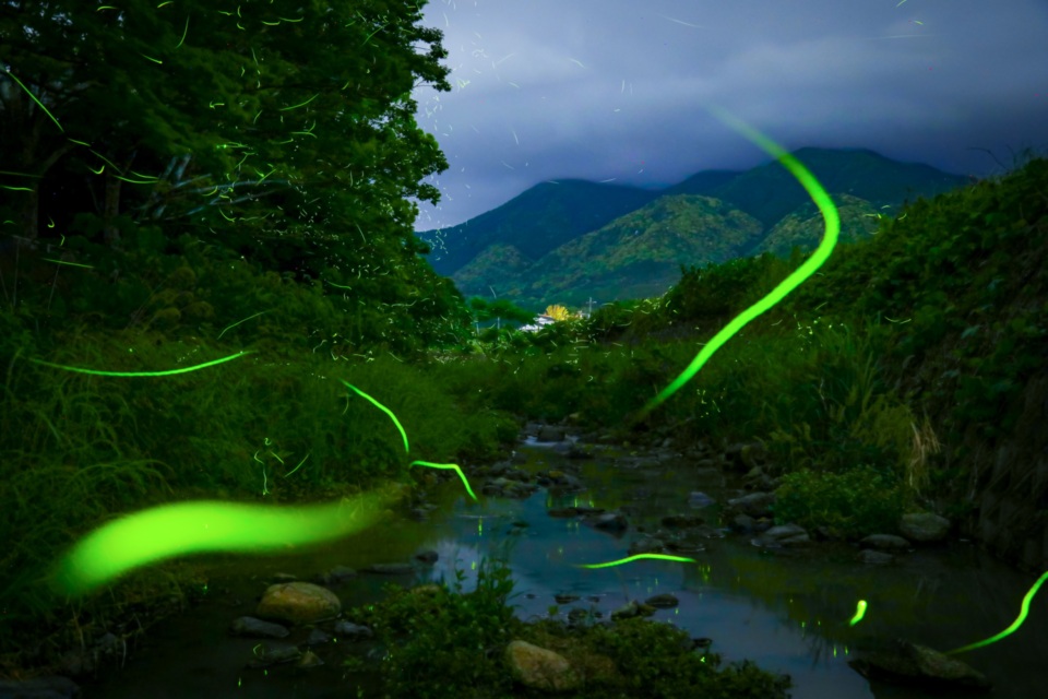 上野地区インフラ改善事業