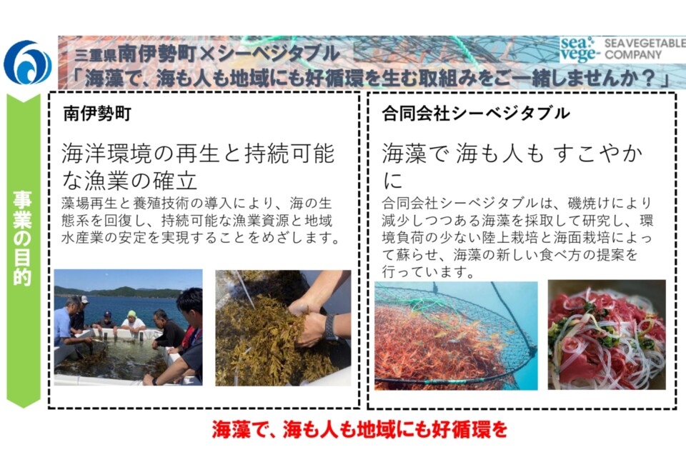（南伊勢町×合同会社シーベジタブル連携） 養殖藻場・海藻生産実証事業