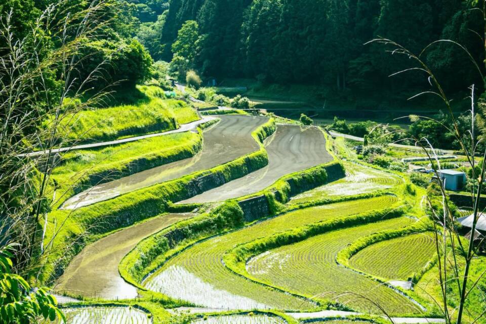 安全・安心な暮らしと、生活の利便性を支える都市基盤づくり