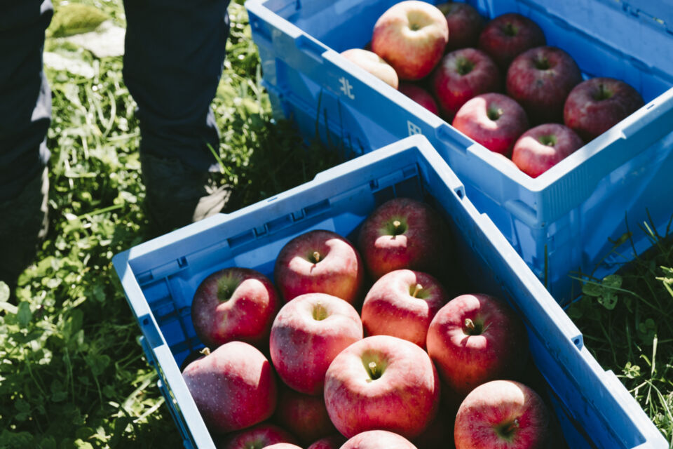 新規就農支援事業