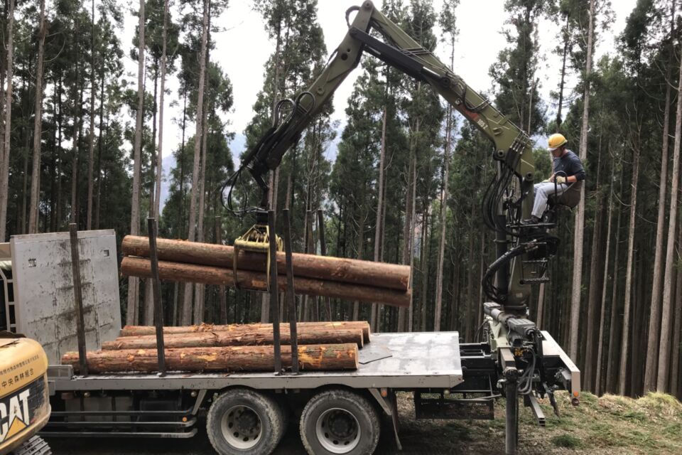 「仁淀川」山の手入れで元気モリモリ事業、「吉野川」水源の森整備事業、など林業振興