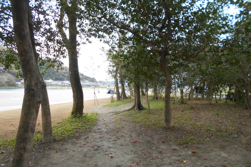 波川地区かわまちづくり事業