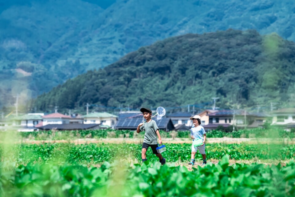 安全安心の地域づくり事業