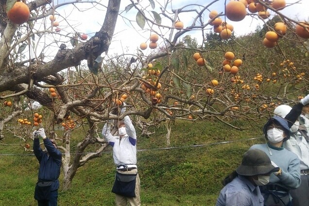 木津川市　千年の里山をつくるプロジェクト