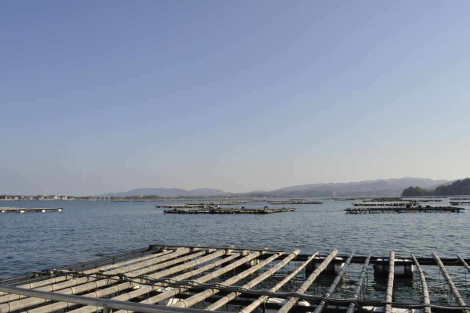 「仕事×移住」地域人材創出プロジェクト