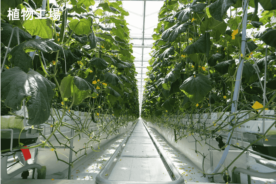 持続可能な脱炭素・資源循環のまちづくりプロジェクト