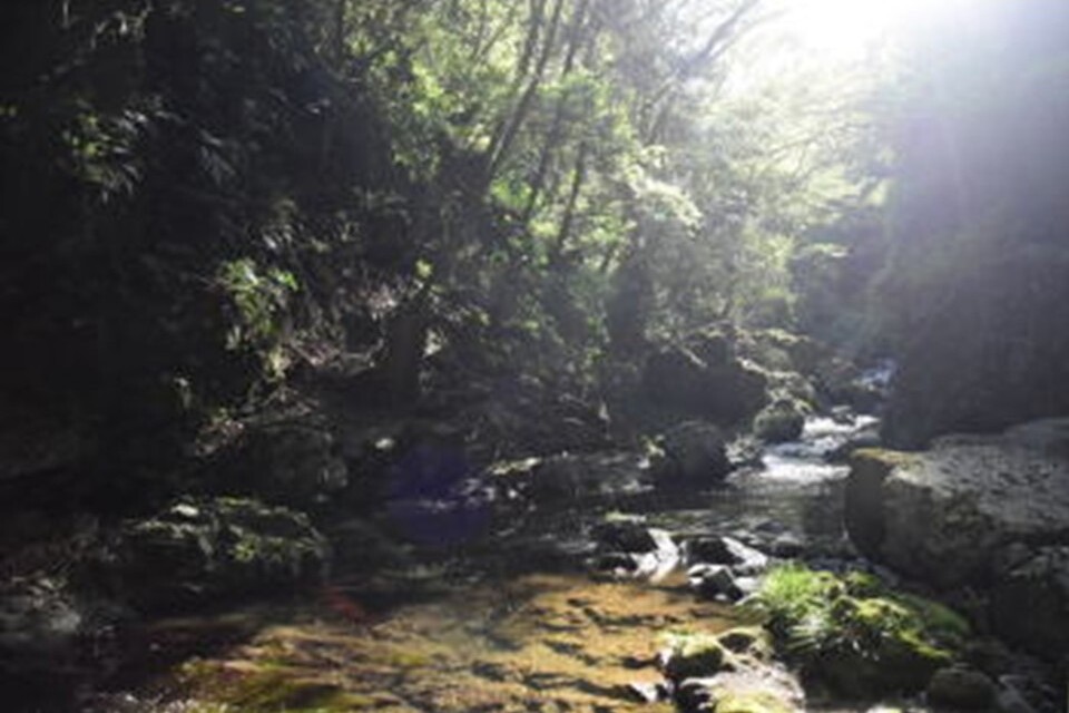 島本町まち・ひと・しごと創生推進事業