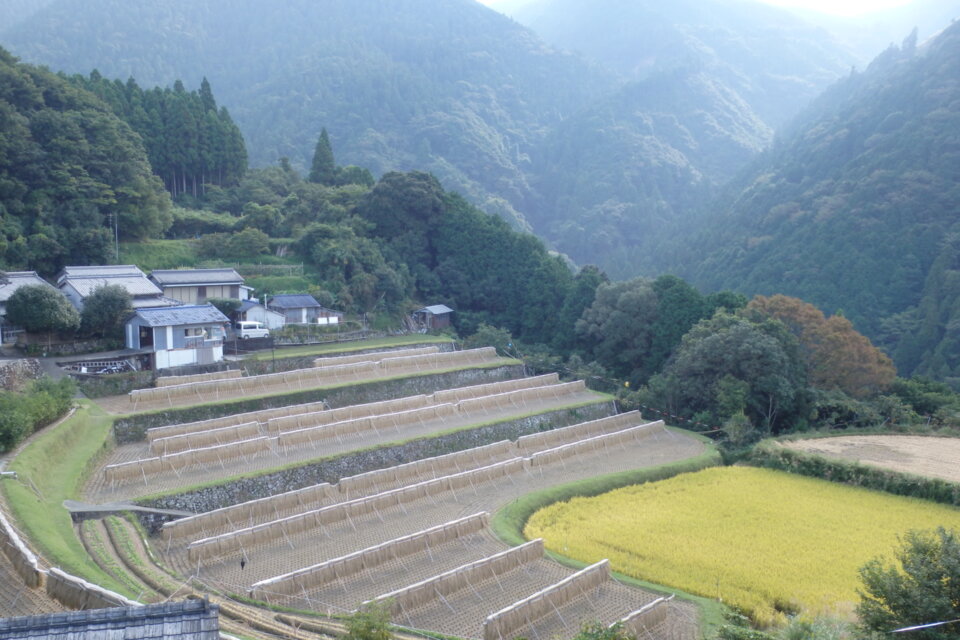 奈半利町の魅力発信プロジェクト