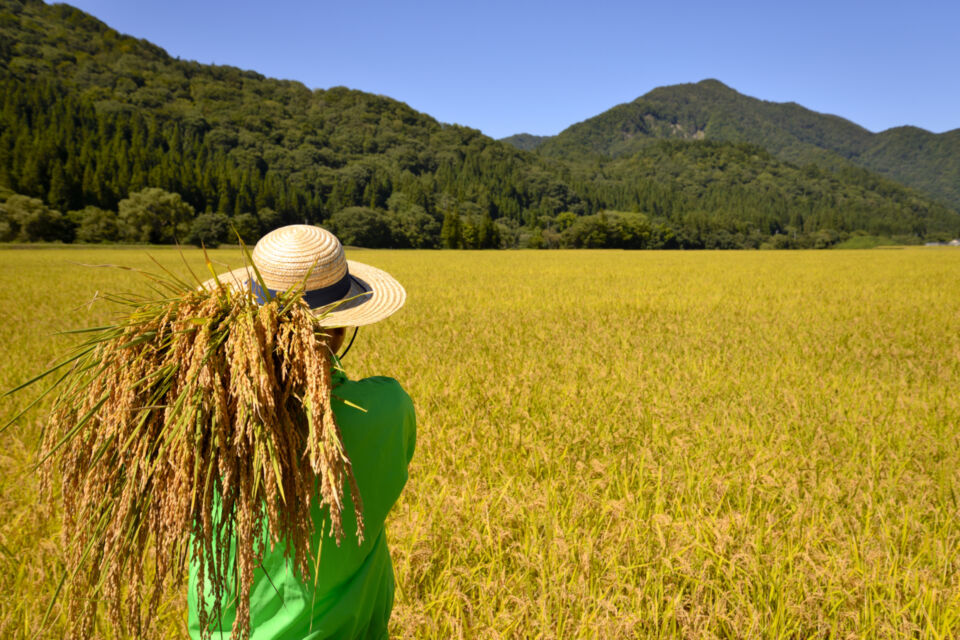 福智町にしごとをつくり、安心して働けるようにする