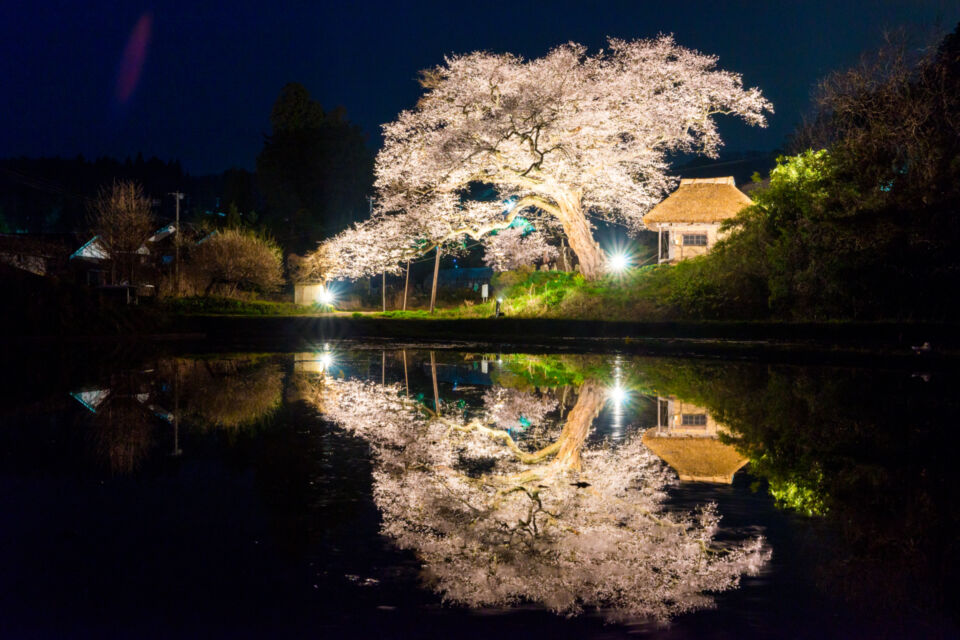 佐渡の魅力をさらにUPプロジェクト