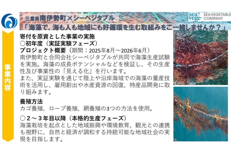 （南伊勢町×合同会社シーベジタブル連携） 養殖藻場・海藻生産実証事業