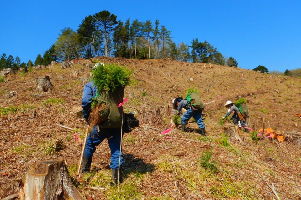農業振興は野生動物による農作物被害防止の徹底、農業経営の強化。林業は森林の保育事業や間伐材の有効利用の推進。移住定住サポートセンターの運営による移住定住の推進。